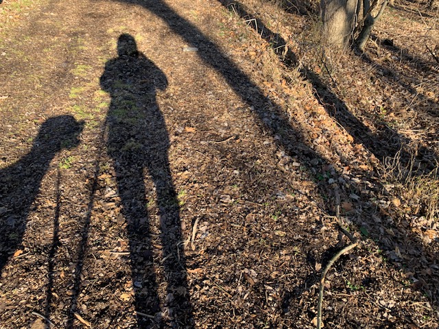 Shadow figures of woman and dog walking 